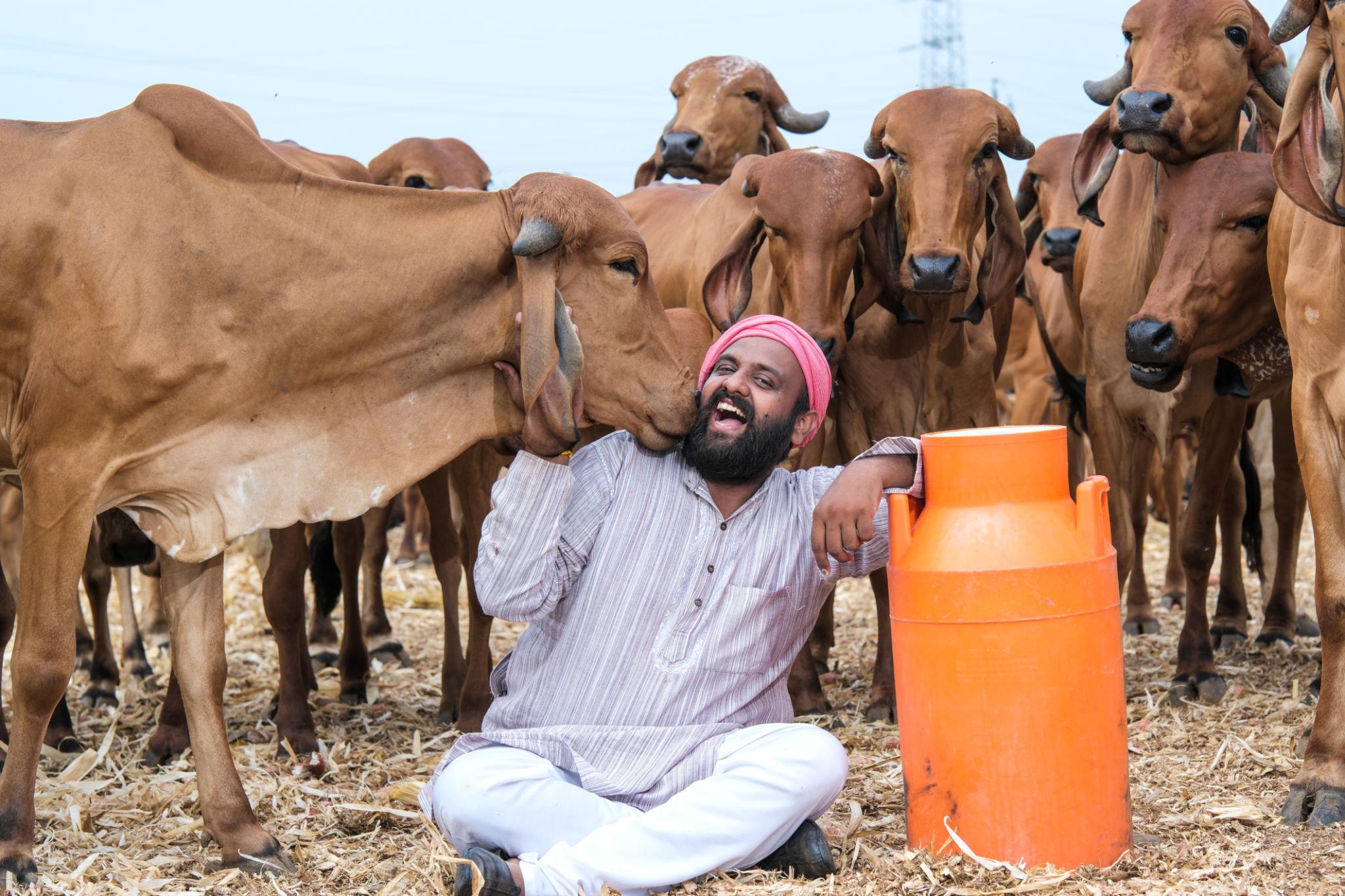 निरोगी पशुधनासाठी आधुनिक पशुपालन व्यवस्थापन